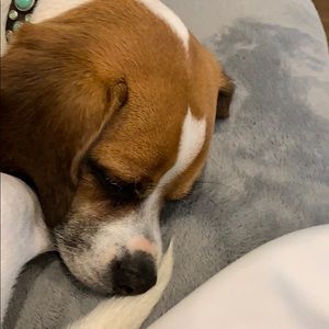 Meet your Posher, Vida